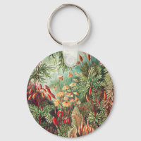 Mosses, Muscinae Laubmoose par Ernst Haeckel