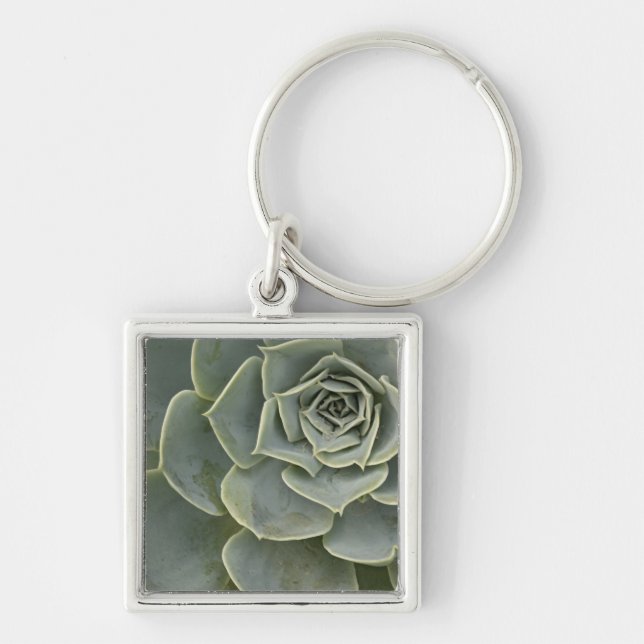 Porte-clés Motif de cactus (Devant)