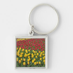 Porte-clés Motif de jardin de tulipes, Jardins de Keukenhof,