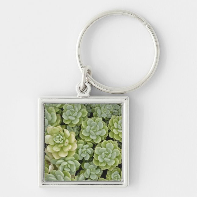 Porte-clés Motif de plante Sedum (Devant)