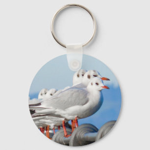 Porte-clés Mouette mignonne Oiseau