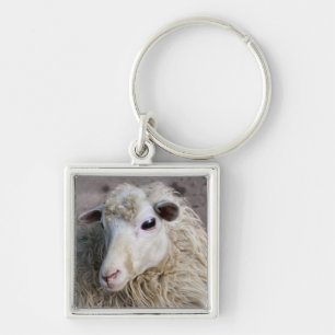 Porte-clés Mouton drôle