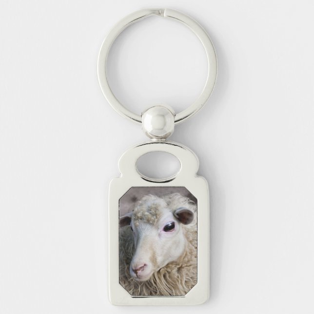 Porte-clés Mouton drôle (Devant)