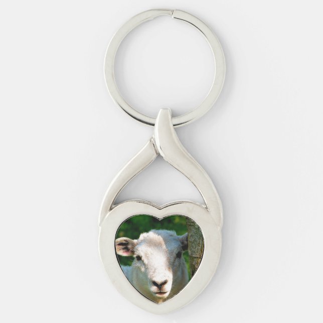 PORTE-CLÉS MOUTON PEU MIGNON (Devant)