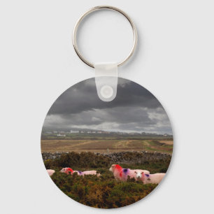 Porte-clés Moutons colorés