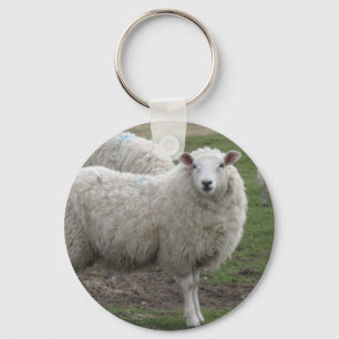 Porte-clés Moutons de Cheviot