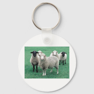 Porte-clés Moutons de l'Iowa