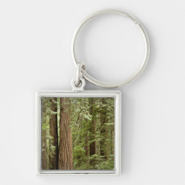 Porte-clés Muir Woods National Monument, Nord (Devant)