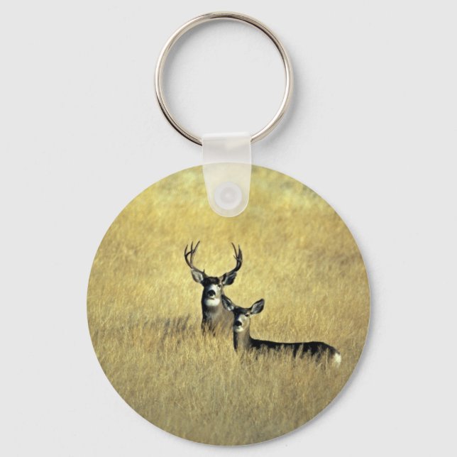 Porte-clés Mule Deer (Recto)