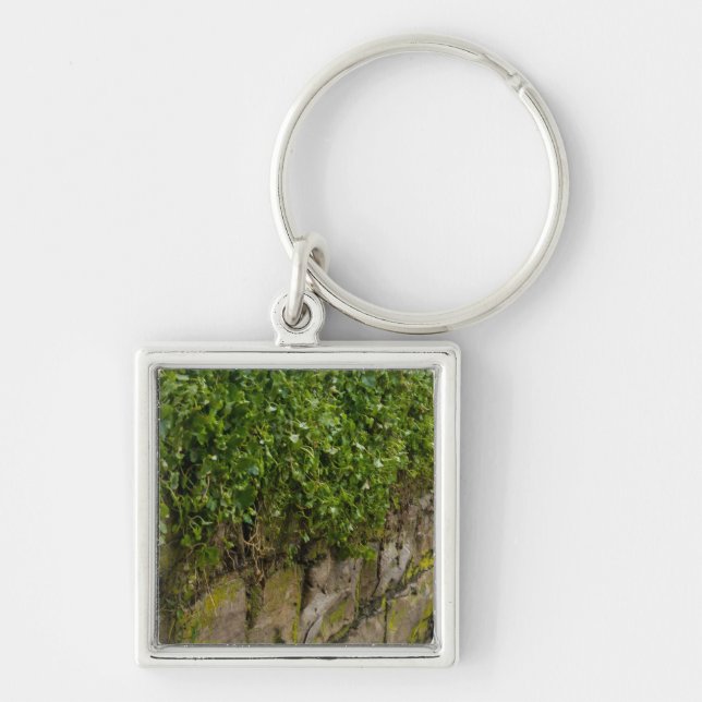 Porte-clés Mur D'Ivy (Devant)