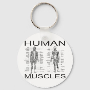 Porte-clés Muscles humains et anatomie