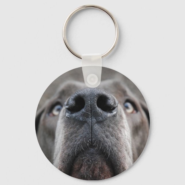 Porte-clés Museau de Dogue (Recto)