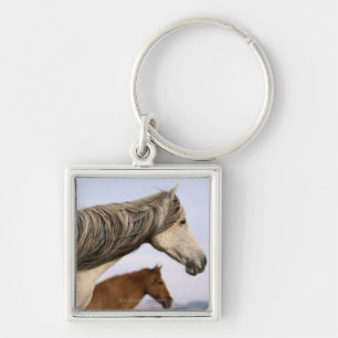 Porte-clés Mustangs espagnols