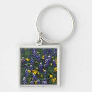 Porte-clés N.A, États-Unis, Texas, Marble Falls, Blue Bonnets