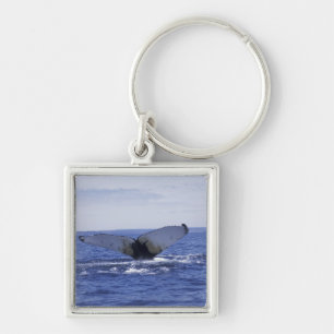 Porte-clés NA, Canada, Terre-Neuve, baie de Trinity. Bossu