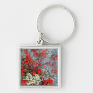 Porte-clés NA, États-Unis, Alaska, Denali NP, Bear berry et