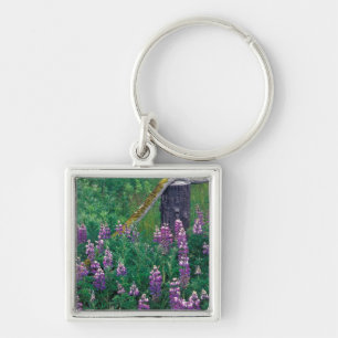 Porte-clés NA, États-Unis, Alaska, Îles Aléoutiennes, Unalask
