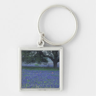 Porte-clés NA, Texas, Devine, Chêne et bleuets