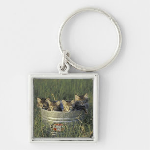 Porte-clés NA, USA, Floride, Floride rurale. Enfant de huit s