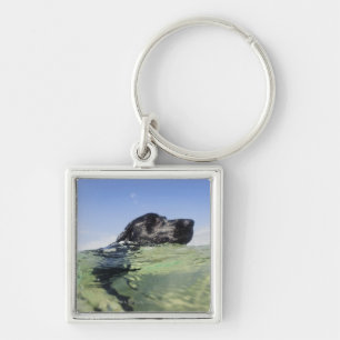 Porte-clés Natation de chien dans l'eau