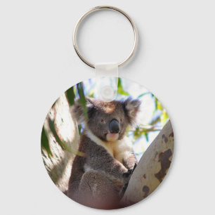 Porte-clés Nature de destin d'Aussi d'ours de koala à
