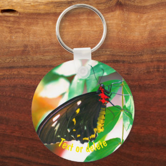 Porte-clés Nature du papillon noir personnalisée