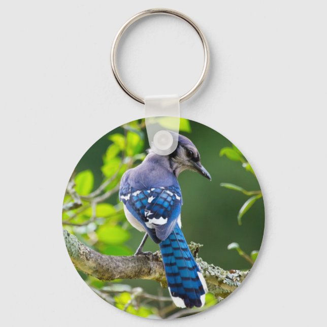 Porte-clés Nature Photographie Shy Blue Jay Vêtements Cadeaux (Recto)