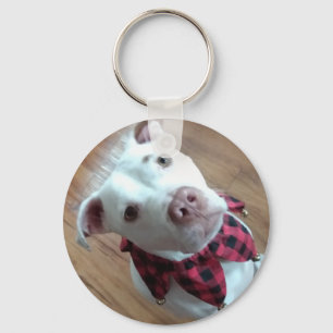 Porte-clés Nauga le chien blanc