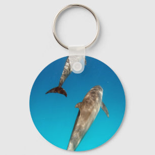 Porte-clés naviguer au schnorchel avec des dauphins