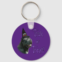 Neapolitain Mastiff Trick
