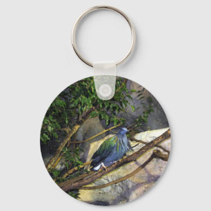 Porte-clés Nicobar Pigeon