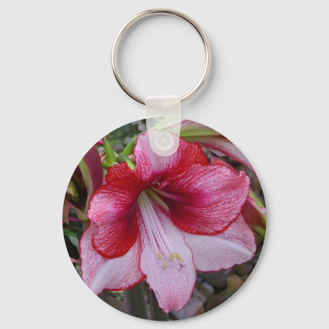 Porte-clés Noël Amaryllis Rouge Fête Florale (Recto)