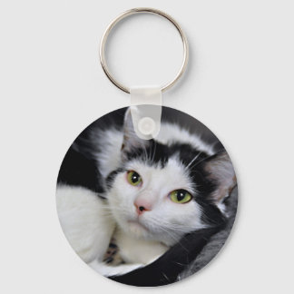 Porte-clés Noir et blanc/Tuxedo Porte - clé de chats à cheveu