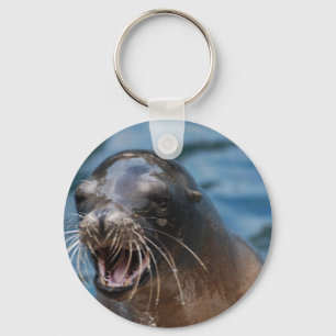 Porte-clés non défini