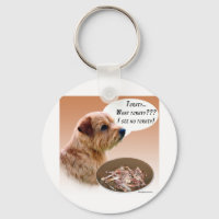 Norfolk Terrier Turquie