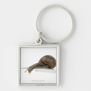 Porte-clés Normalsnail