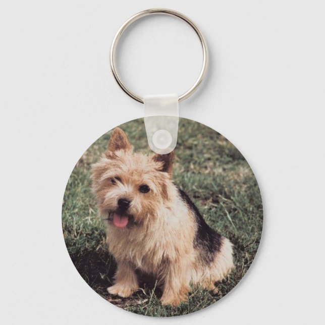 Porte-clés Norwich Terrier Porte - clé (Recto)