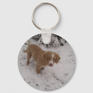 Porte-clés Nova_Scotia_Duck-Tolling_Retriever pup dans la nei