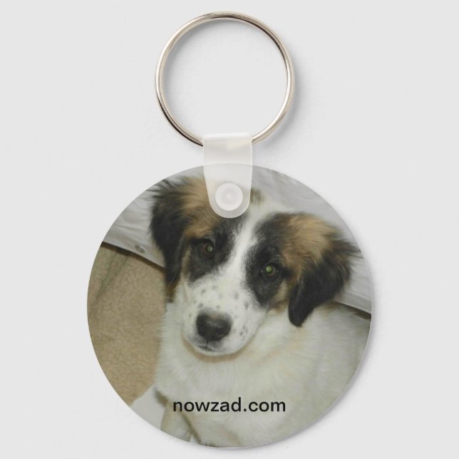 Porte-clés Nowzad Secourir Spike Keyring (Recto)