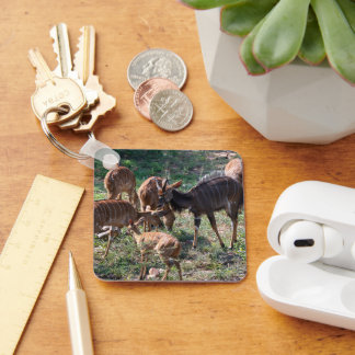 Porte-clés Nyala, antilope rayée saisissante
