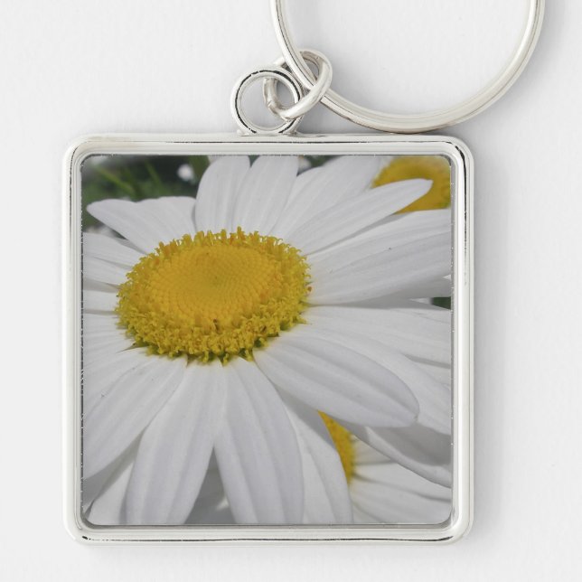 Porte-clés Objets floraux Fleurs sauvages Oxeye Daisy (Devant)