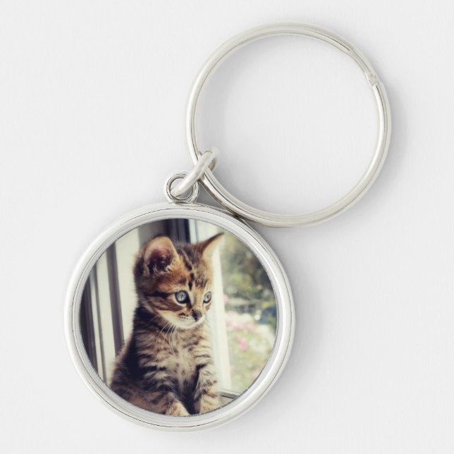 Porte-clés Observation tigrée de chaton (Devant)