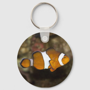Porte-clés Ocellaris Clowfish
