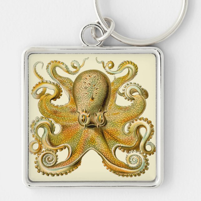 Porte-clés Octopus antique illustration sea monster (Devant)