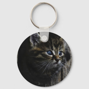 Porte-clés Oeil bleu chat