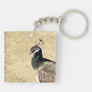 Porte-clés Œuvre d'art élégante de paon et de plume