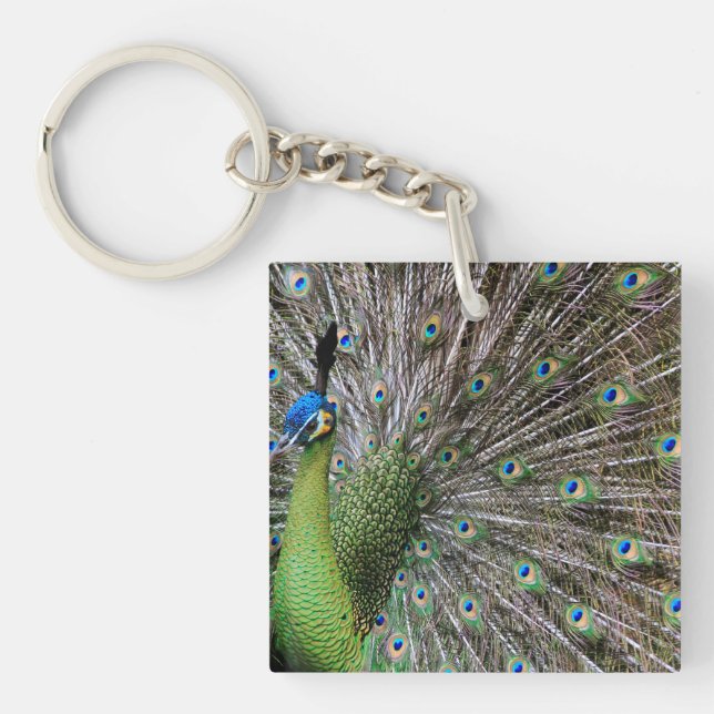 Porte-clés Œuvre d'art élégante de paon et de plume (Devant)