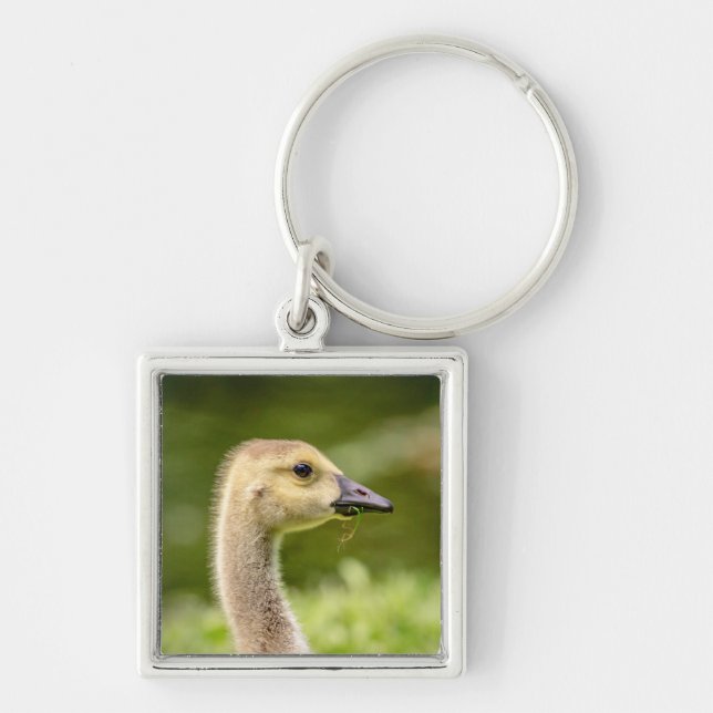 Porte-clés Oie canadienne (Gosling) (Devant)