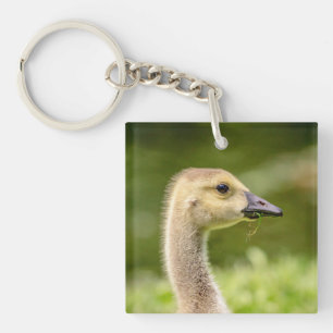 Porte-clés Oie canadienne (Gosling)