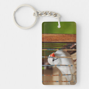 Porte-clés Oiseau blanc Zèbre Finch en cage